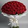 Букет 101 Красная роза Блэк Мэджик в Баляге