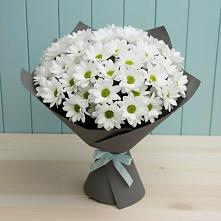 Букет белые хризантемы в Баляге Букет цветов из:  Хризантемы в Баляге